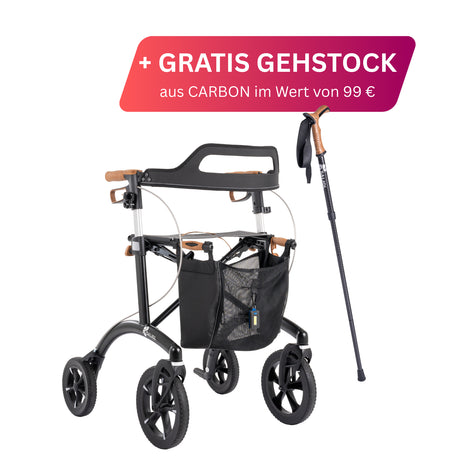 Allround Rollator Saljol mit gratis Gehstock