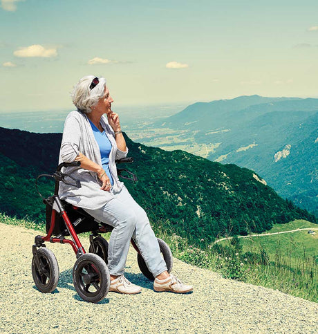 Gelände-Rollator TAiMA XC