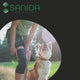 SANIDA® COMFORT Kniebandage mit Haftband